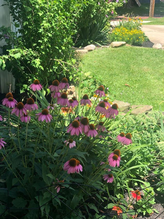 Ottaway Inn Llc Corry Luaran gambar